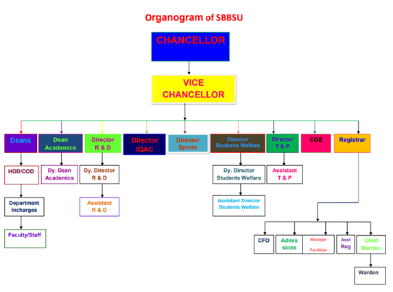 Organizational Structure